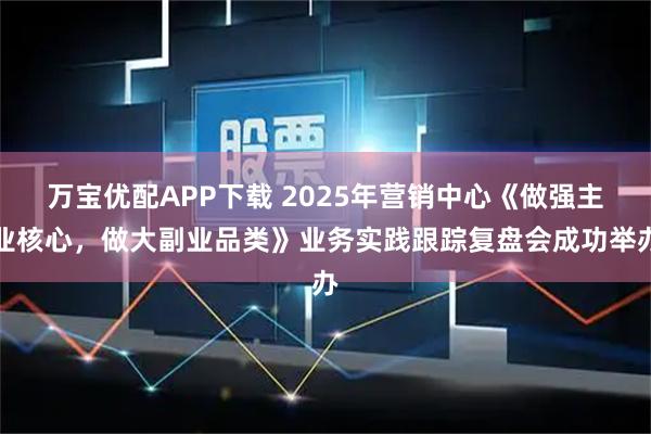万宝优配APP下载 2025年营销中心《做强主业核心，做大副业品类》业务实践跟踪复盘会成功举办