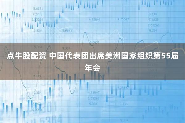 点牛股配资 中国代表团出席美洲国家组织第55届年会