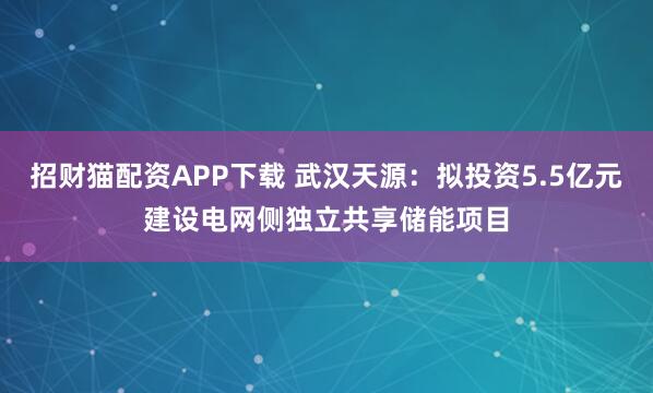 招财猫配资APP下载 武汉天源：拟投资5.5亿元建设电网侧独立共享储能项目