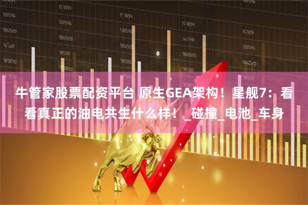 牛管家股票配资平台 原生GEA架构！星舰7：看看真正的油电共生什么样！_碰撞_电池_车身