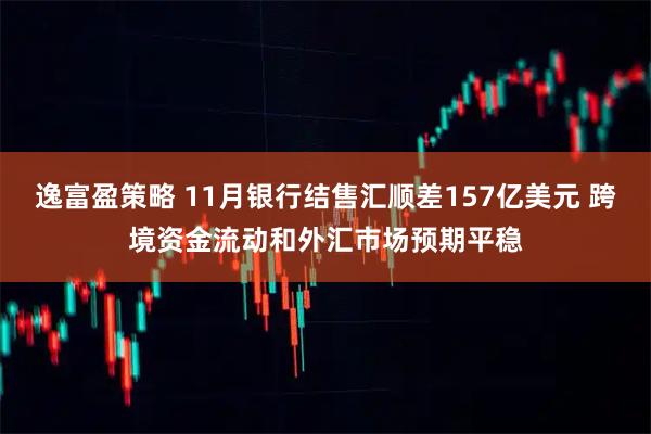 逸富盈策略 11月银行结售汇顺差157亿美元 跨境资金流动和外汇市场预期平稳